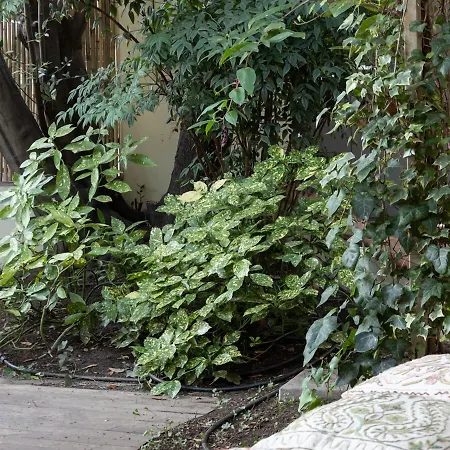 Arianna 3* Равенна